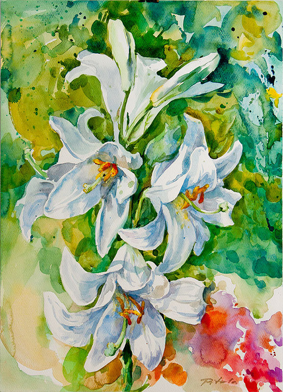 69 Władysław Pitala, Lilia-1, akwarela, 2013