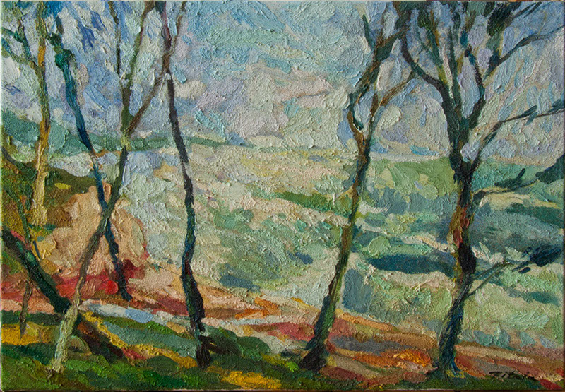76 Władysław Pitala, Orzechowo olej-38x55cm