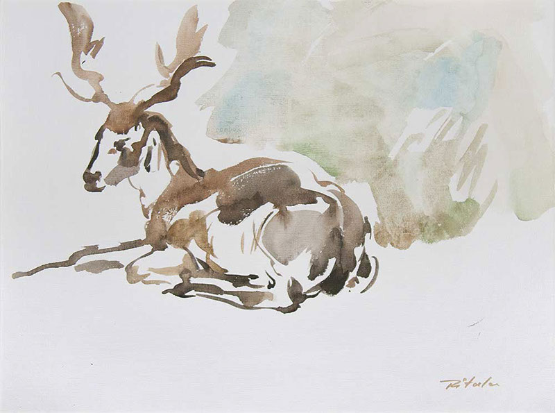 28 Władysław Pitala, Daniel w zoo, akwarela